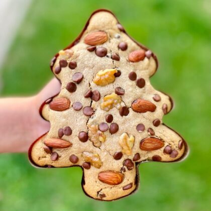 Pan de pascua ARBOL sin azúcar 350GR